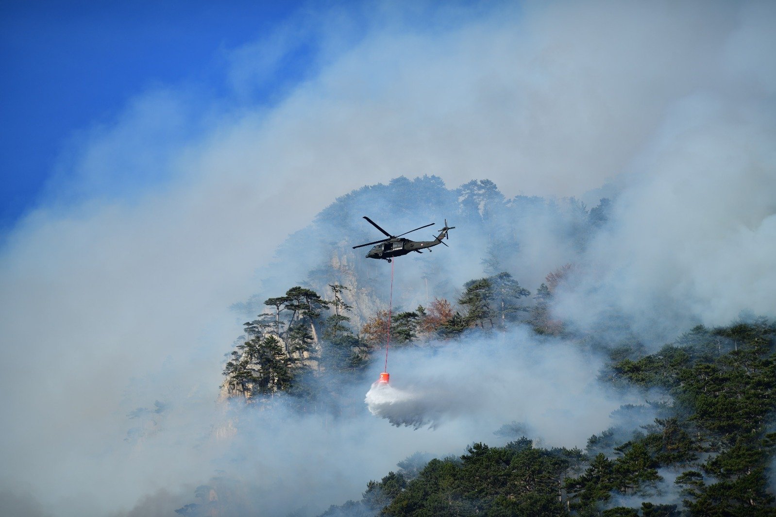 Waldbrandübung gemeinsam mit dem ÖBH in Suben